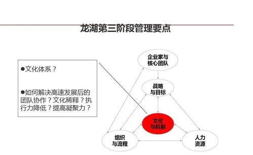 龍湖集團(tuán) 精細(xì)化管理鑄就卓越運(yùn)營與穩(wěn)健成長